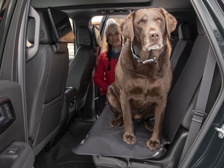Seat and Door Protection